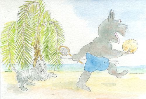 Hippos on Holiday